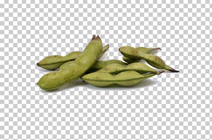 Edamame Sashimi Vegetable Soybean PNG, Clipart, Bean, Beefsteak Plant, Commodity, Cuisine, Download Free PNG Download