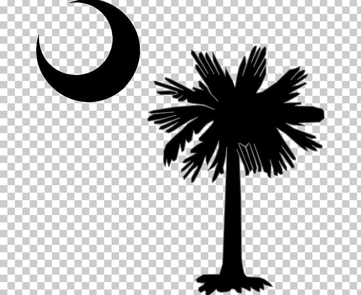 Flag Of South Carolina Sabal Palm Palm Trees Decal PNG, Clipart, Arecales, Black And White, Blue Moon, Branch, Crescent Free PNG Download