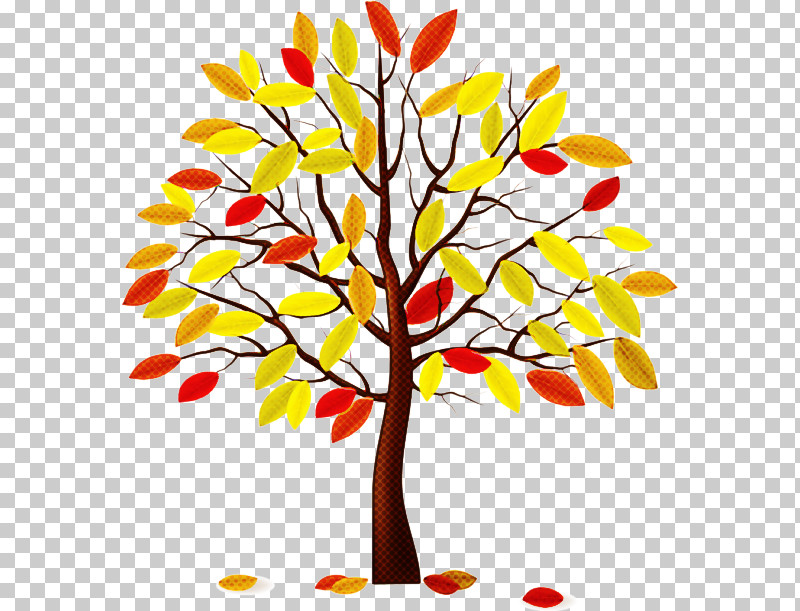 Tree Branch Leaf Plant Woody Plant PNG, Clipart, Autumn, Branch, Leaf, Plant, Plant Stem Free PNG Download