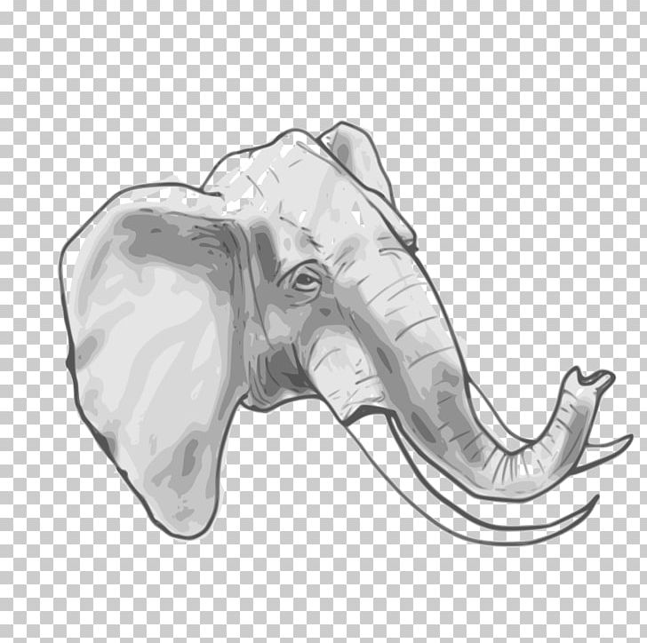 Elephant PNG, Clipart, Black And White, Cartoon, Circus, Circus Animal Pictures, Drawing Free PNG Download
