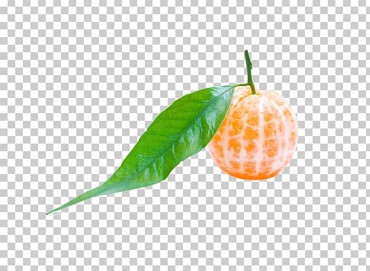Mandarin Orange Smoothie Fruit Vegetable PNG, Clipart, Computer Wallpaper, Food, Fruit, Green, Green Leaves Free PNG Download