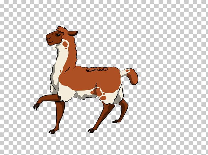 Mustang Camel Cattle Mane Deer PNG, Clipart, Animal, Animal Figure, Camel, Camel Like Mammal, Cattle Free PNG Download