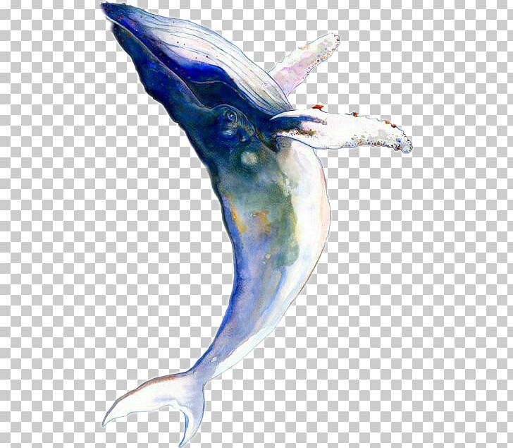 Watercolor Painting Humpback Whale Drawing Cetaceans Tattoo PNG, Clipart, Abziehtattoo, Art, Beak, Blue Whale, Cetaceans Free PNG Download