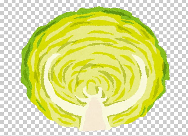 Cabbage Takoyaki Nimono Okonomiyaki Nabemono PNG, Clipart, Broccoli, Cabbage, Circle, Cooking, Eating Free PNG Download
