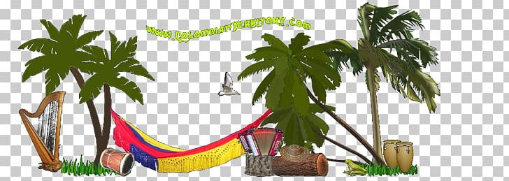 Colombia Joke Video Humour PNG, Clipart, Arecales, Colombia, Computer Program, Download, Email Free PNG Download