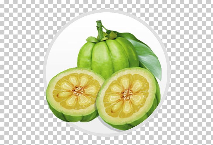 Dietary Supplement Food Garcinia Gummi-gutta Weight Loss Health PNG, Clipart, Anorectic, Antiobesity Medication, Appetite, Capsule, Citrus Free PNG Download