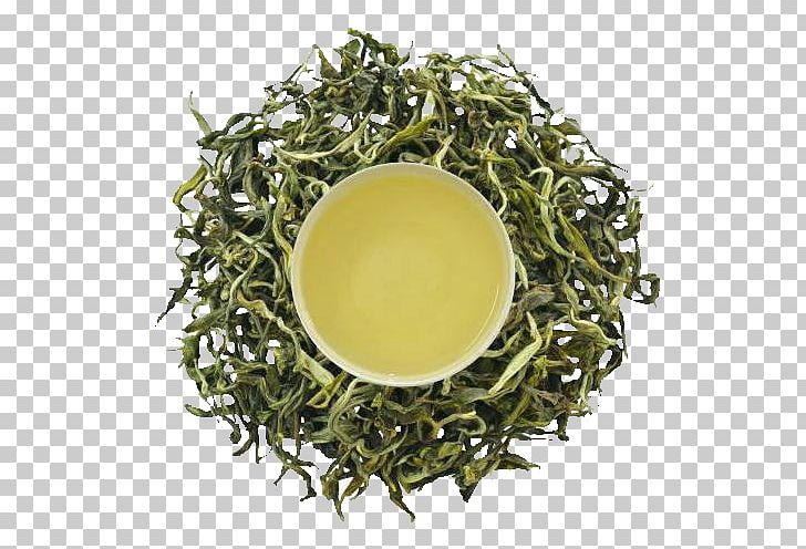Gyokuro White Tea Oolong Nilgiri Tea PNG, Clipart, Assam Tea, Baihao Yinzhen, Bai Mudan, Bancha, Biluochun Free PNG Download