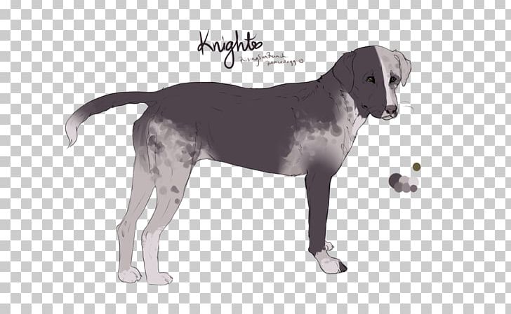 Harrier English Foxhound American Foxhound Treeing Walker Coonhound Dog Breed PNG, Clipart, American Foxhound, Breed, Carnivoran, Coonhound, Crossbreed Free PNG Download