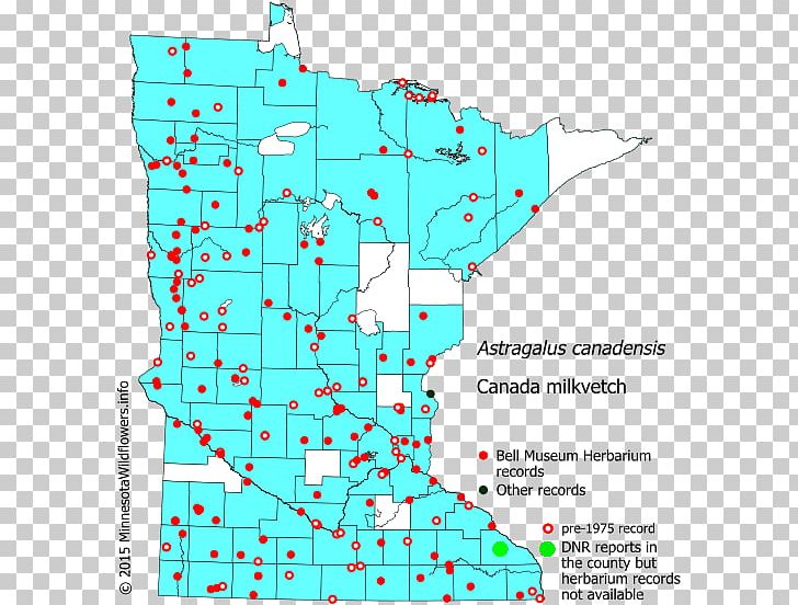 Minnesota Hemlock Swamp Milkweed Reed Canary Grass Map PNG, Clipart, Area, Diagram, Fleabane, Hemlock, Landscape Free PNG Download