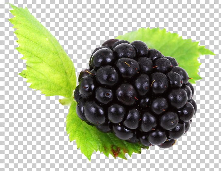 Blackberry PNG, Clipart, Blackberry Free PNG Download