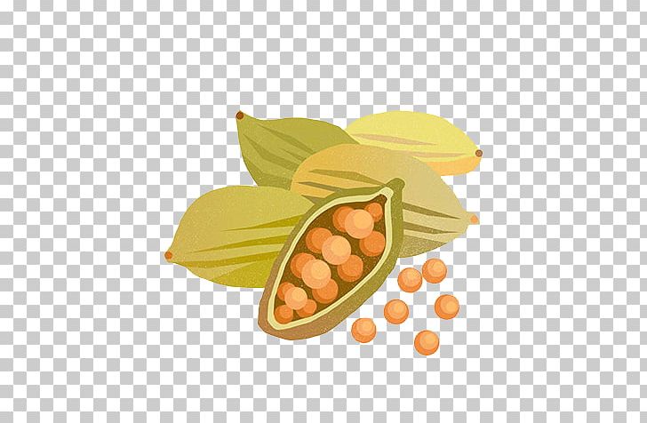 Cardamom Food Ingredient Seed PNG, Clipart, Bergamot Orange, Cardamom, Commodity, Food, Fruit Free PNG Download