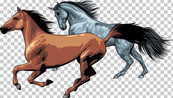 Horse Pony PNG, Clipart, Animals, Black, Bridle, Buckskin, Colt Free PNG Download