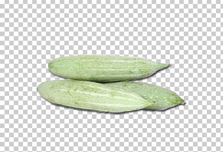 Kannur Vegetable Melon Cucumber PNG, Clipart, Commodity, Cucumber, Cucumber Gourd And Melon Family, Food, Food Drinks Free PNG Download