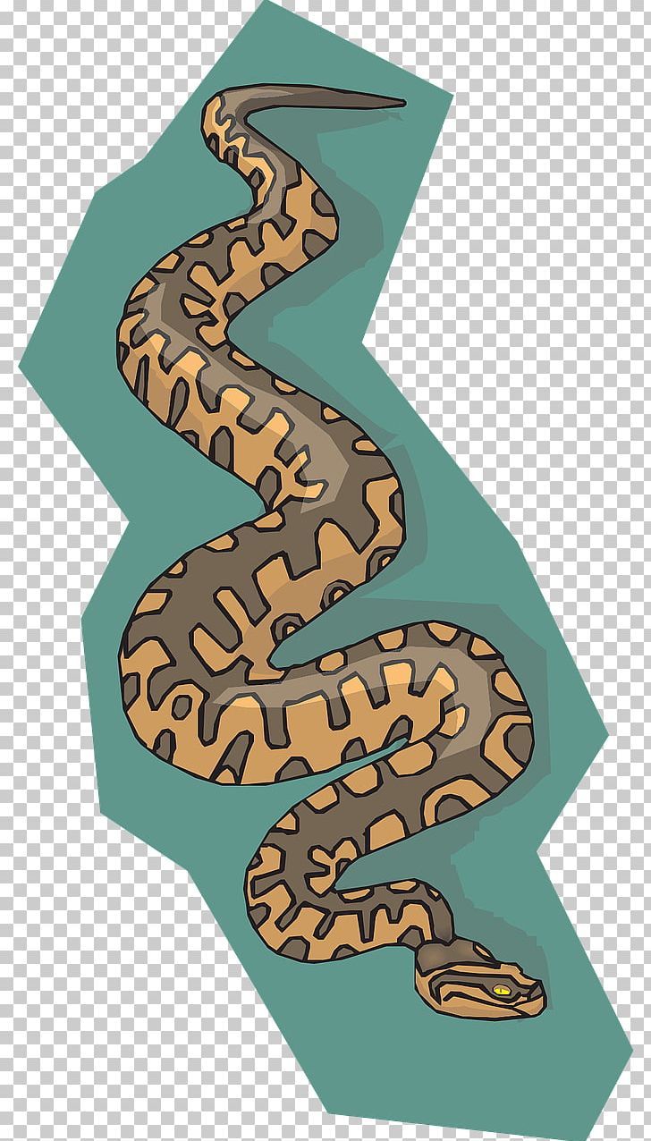 Snake Reptile PNG, Clipart, Amphibian, Animal, Animals, Art, Computer Icons Free PNG Download