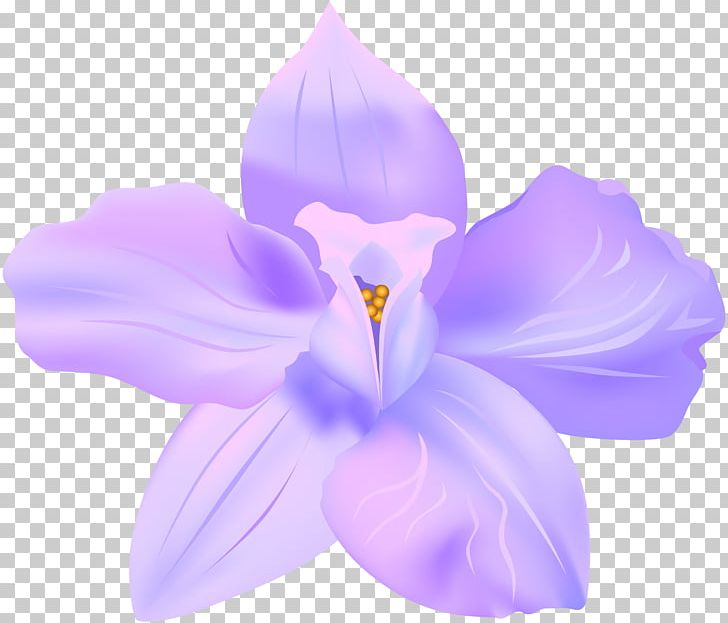 Purple Violet Flower PNG, Clipart, Art, Art Museum, Clip Art, Crocus, Easter Free PNG Download