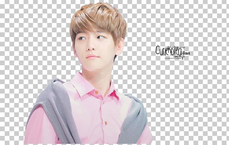 Baekhyun K-pop EXO XOXO Chanyeol PNG, Clipart, Baekhyun, Bangs, Bob Cut, Brown Hair, Chanyeol Free PNG Download