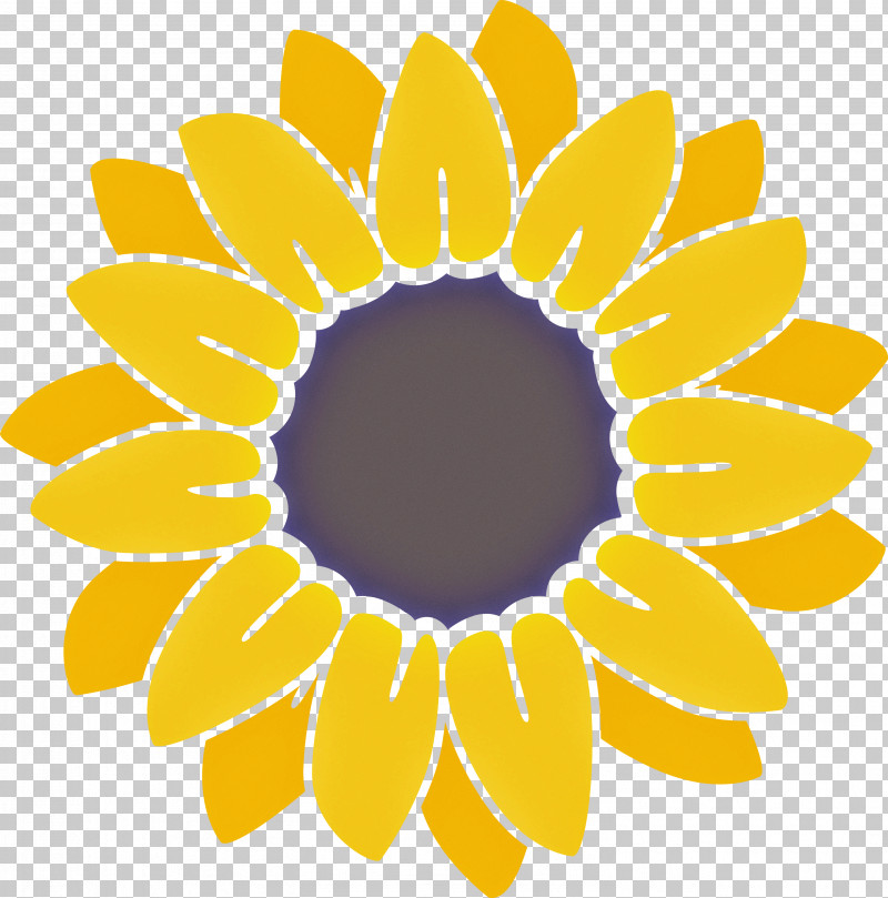 Sunflower Summer PNG, Clipart, Cartoon, Common Sunflower, Drawing, Flower, Footage Free PNG Download