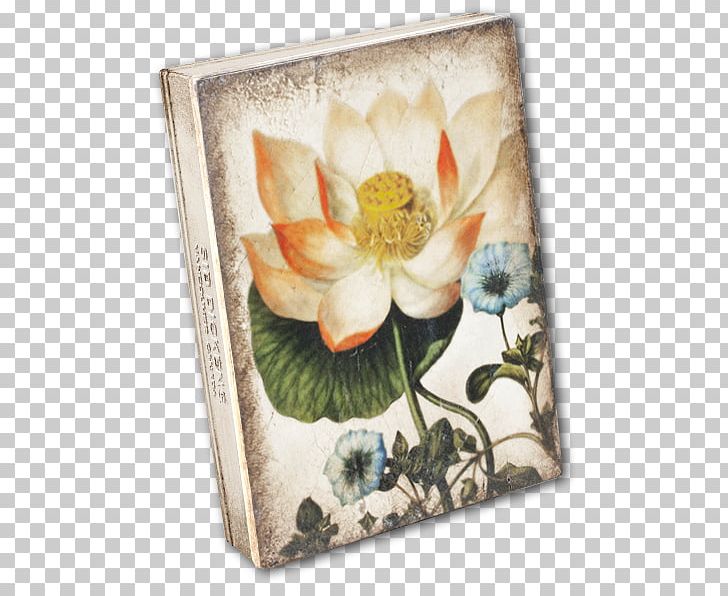 Hierbas Curativas (obras Singulares) Sacred Lotus Herbaceous Plant Still Life Frames PNG, Clipart, Dickens, Flower, Flowering Plant, Greeting Note Cards, Herbaceous Plant Free PNG Download
