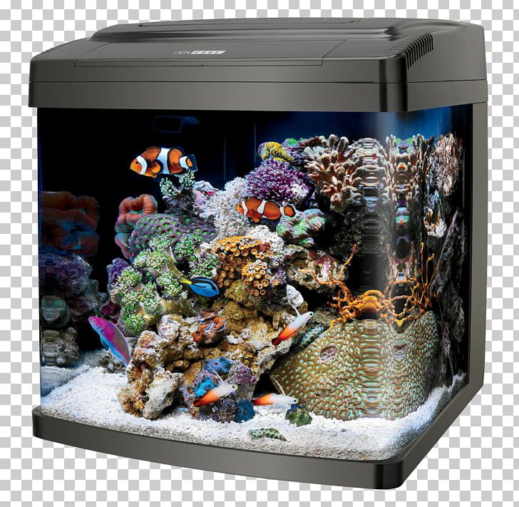 Coralife LED Bio Cube 32 Reef Aquarium Coralife Biocube Size 14 Bio Cube Stand 29/32 PNG, Clipart, Aquarium, Aquarium Decor, Aquarium Filters, Aquarium Lighting, Aquascaping Free PNG Download