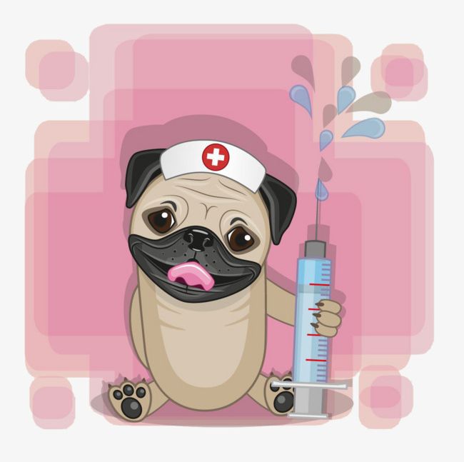 Cute Cartoon Dog Doctor PNG, Clipart, Cartoon, Cartoon Clipart, Cartoon Clipart, Claws, Cute Clipart Free PNG Download