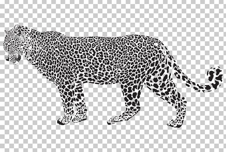 Jaguar Leopard Cheetah PNG, Clipart, Animal, Animal Figure, Animals, Area, Big Cat Free PNG Download