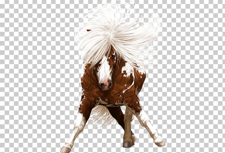 Mustang Shetland Pony Dutch Warmblood Shire Horse PNG, Clipart,  Free PNG Download