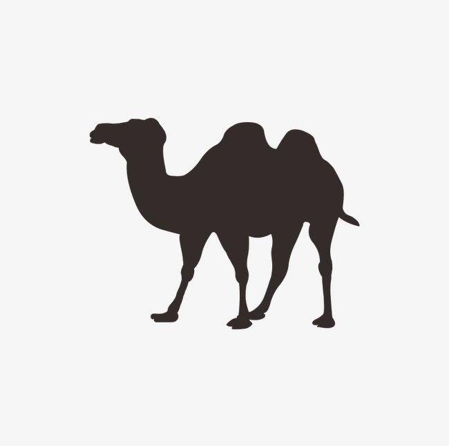 Camel PNG, Clipart, Animal, Camel, Camel Clipart, Decoration, Pattern Free PNG Download