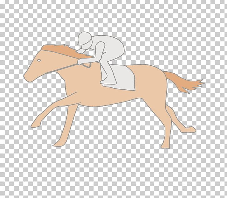 Foal Mustang Stallion Colt Rein PNG, Clipart, Arm, Bridle, Colt, English Riding, Equestrian Free PNG Download