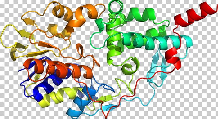 Shkola Khorarnoy Astrologii Marka Rusborna Monoamine Oxidase Scientist Nature PNG, Clipart, 2 2, Area, Art, Artwork, B D Free PNG Download