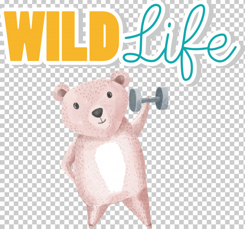 Teddy Bear PNG, Clipart, Bears, Biology, Cartoon, Meter, Science Free PNG Download