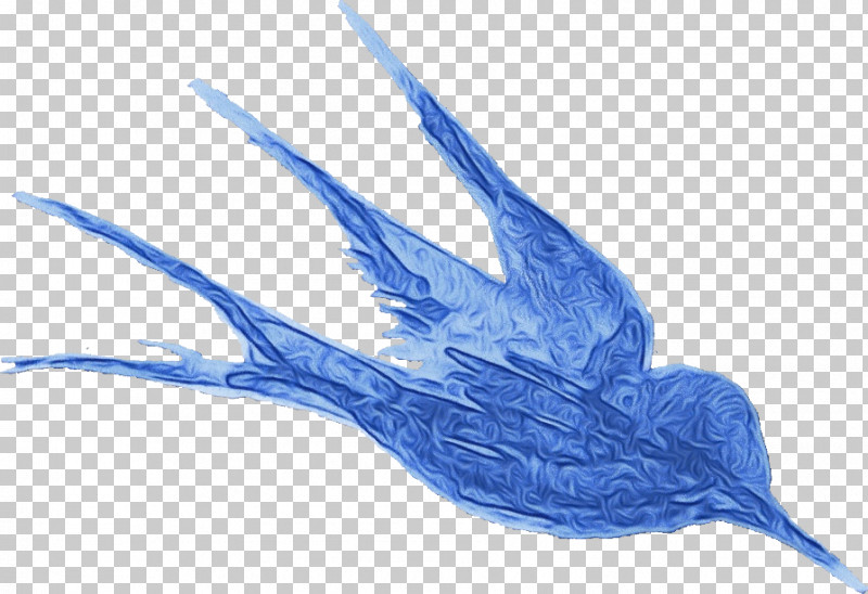 Feather PNG, Clipart, Beak, Biology, Birds, Feather, Fish Free PNG Download