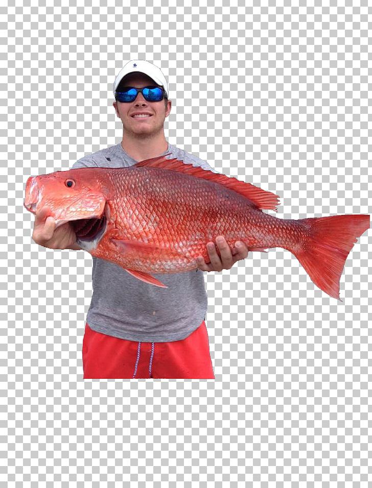 Recreational Boat Fishing Northern Red Snapper Spearfishing PNG, Clipart, Boat, Boating, Fish, Fishing, Fishing Vessel Free PNG Download
