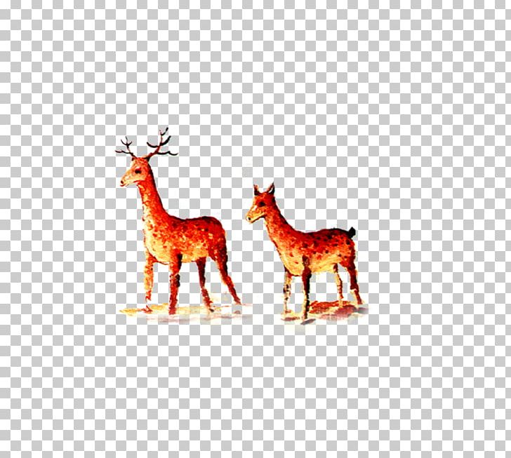 Reindeer Giraffe Antler Text Illustration PNG, Clipart, Animal, Animals, Antler, Christmas Deer, Creative Free PNG Download