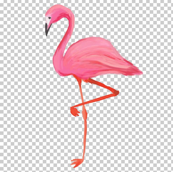 Bird Greater Flamingo American Flamingo T-shirt PNG, Clipart, American Flamingo, Andean Flamingo, Animals, Beak, Bird Free PNG Download