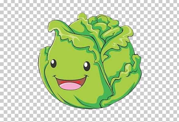 Cabbage Cartoon Vegetable Illustration PNG, Clipart, Balloon Cartoon, Cartoon Alien, Cartoon Character, Cartoon Cloud, Cartoon Eyes Free PNG Download