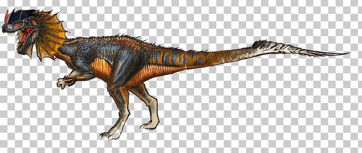 Tyrannosaurus Dilophosaurus ARK: Survival Evolved Giganotosaurus Velociraptor PNG, Clipart, Anim, Ark Survival Evolved, Baryonyx, Dilophosaurus, Dinosaur Free PNG Download