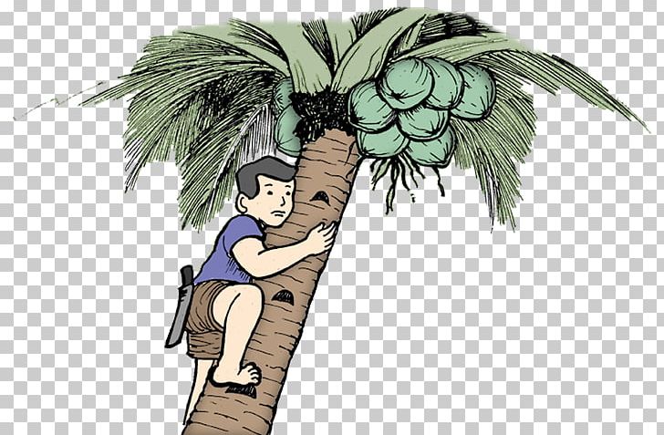 Coconut Department Of Education Tree Climbing PNG, Clipart, Arecaceae, Arecales, Art, Cartoon, Character Free PNG Download