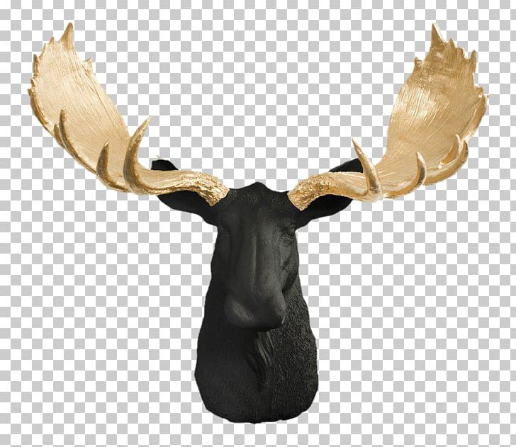White-tailed Deer Moose Elk Antler PNG, Clipart, American Moose, Animal, Animals, Antler, Bison Free PNG Download