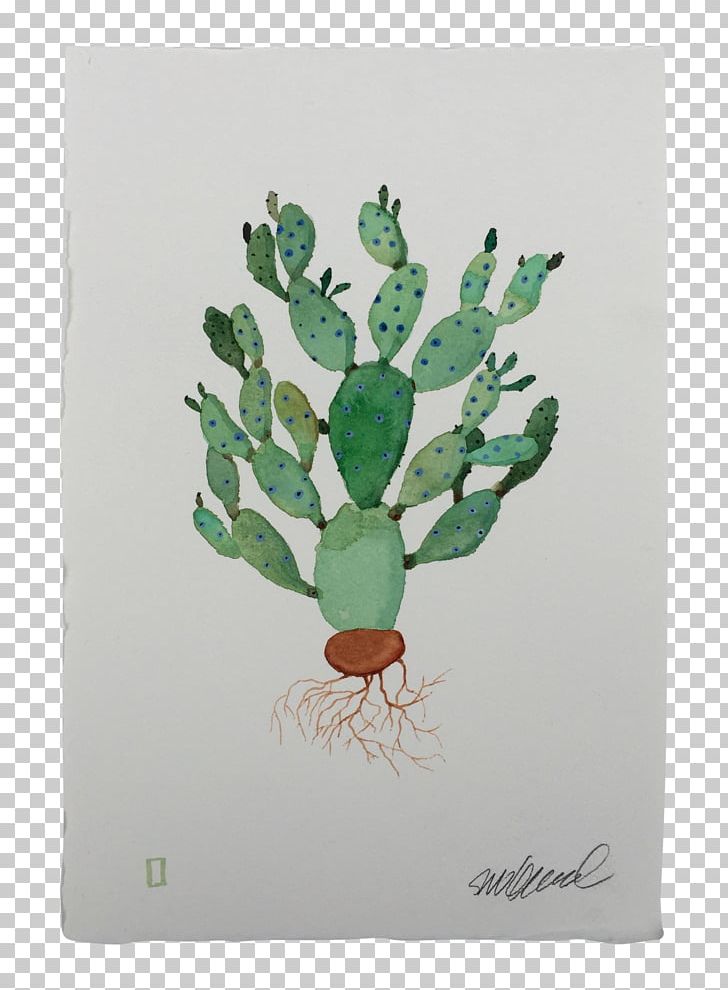 Citroën Cactus M Tree PNG, Clipart, Cactus, Flowering Plant, Nature, Organism, Plant Free PNG Download