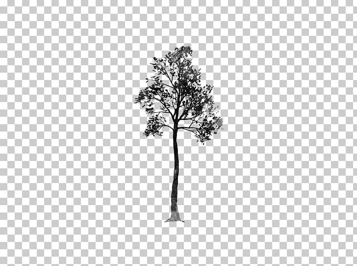 Desktop Tree Monochrome Photography PNG, Clipart, Black And White, Branch, Desktop Wallpaper, Editing, Flowering Plant Free PNG Download