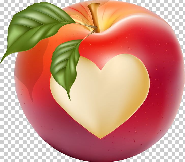 Heart Drawing PNG, Clipart, Adobe Illustrator, Apple, Apple Fruit, Apple Logo, Apple Vector Free PNG Download