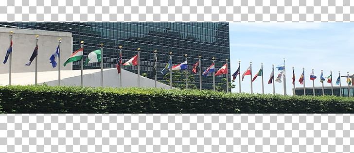 International Relations Career Flag Of The United Nations Job PNG, Clipart, Career, Extracurricular Activity, Fence, Flag, Flag Of The United Nations Free PNG Download