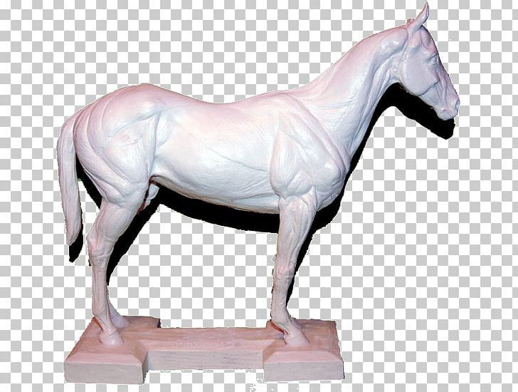 Stallion Mustang Mare Pony Bridle PNG, Clipart, Animal Figure, Bridle, Figurine, Halter, Horse Free PNG Download