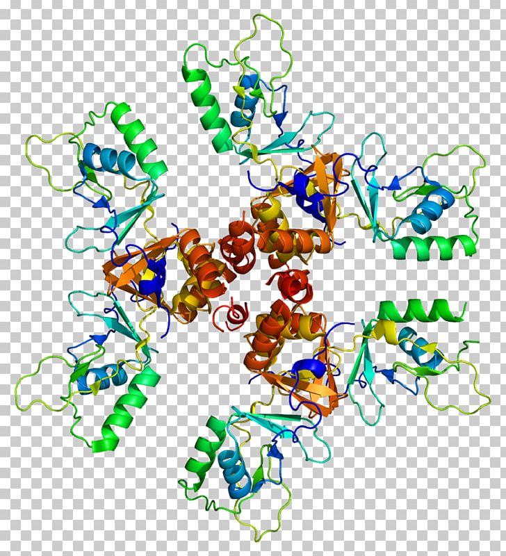CLCN5 Chloride Channel Gene Membrane Transport Protein PNG, Clipart, Animal Figure, Antiporter, Area, Art, Artwork Free PNG Download