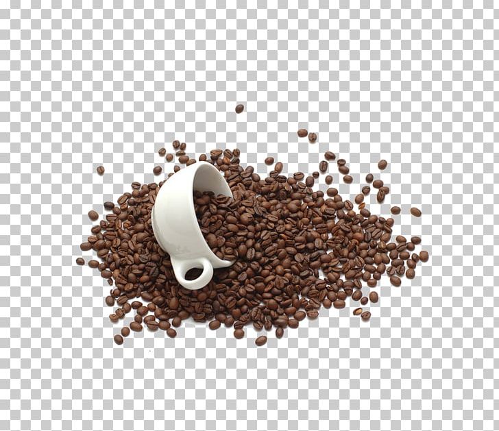Coffee Bean Tea Chocolate Milk Coffee Cup PNG, Clipart, Arabica Coffee, Bean, Beans, Brown, Chocolate Milk Free PNG Download