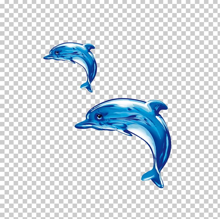 Common Bottlenose Dolphin Short-beaked Common Dolphin Tucuxi Wholphin PNG, Clipart, Animals, Blue, Bottlenose Dolphin, Cute Dolphin, Dolphine Free PNG Download