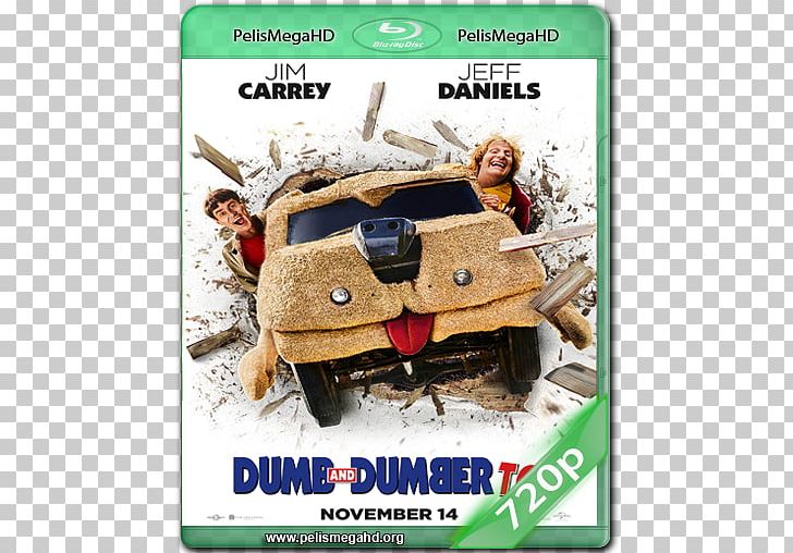 Dumb And Dumber Film Poster Film Poster Digital Copy PNG, Clipart, Brand, Digital Copy, Dumb And Dumber, Dvd, Film Free PNG Download