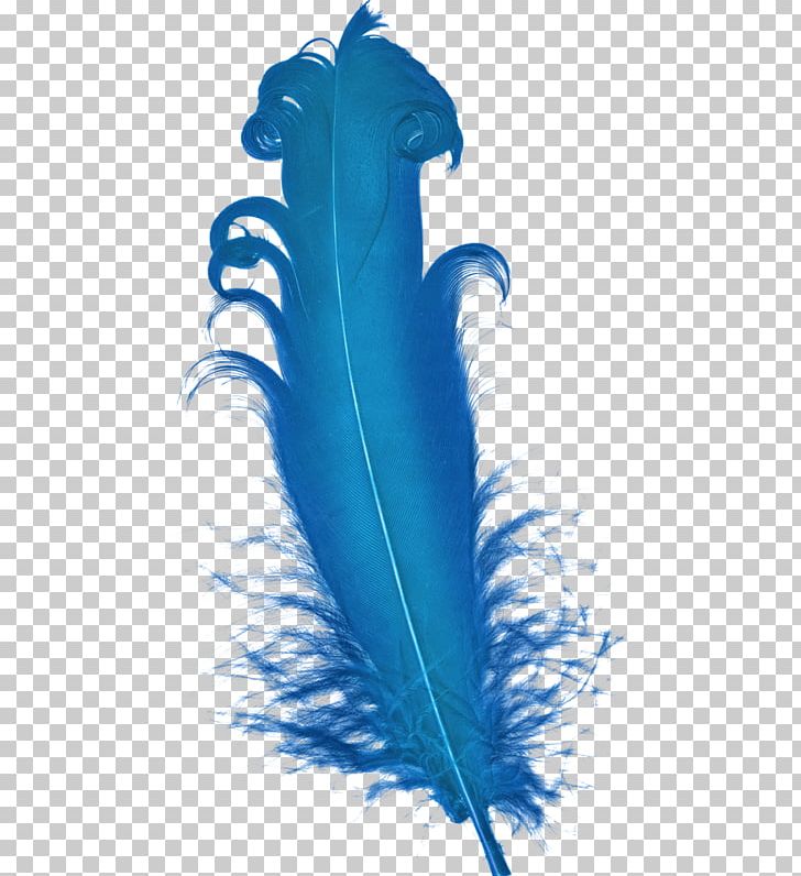Feather Blue Plumage PNG, Clipart, Animals, Blue, Blue Abstract, Blue Background, Blue Flower Free PNG Download