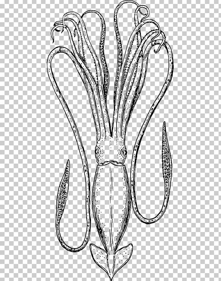 Stuffed Squid PNG, Clipart, Black And White, Blog, Body Jewelry, Download, Drawing Free PNG Download