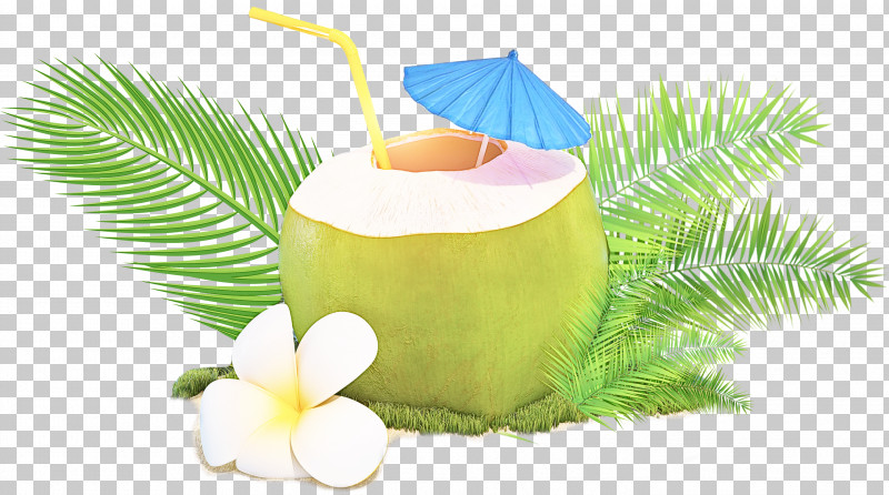 Water Balloon PNG, Clipart, Cartoon, Coconut, Coconut Water, Fruit, Icon Beverages Cigars Free PNG Download